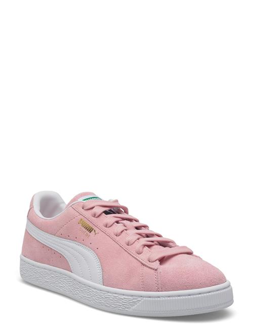 PUMA | Suede Classic | 45