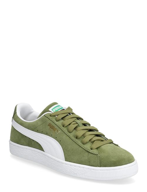 PUMA | Suede Classic | 40.5