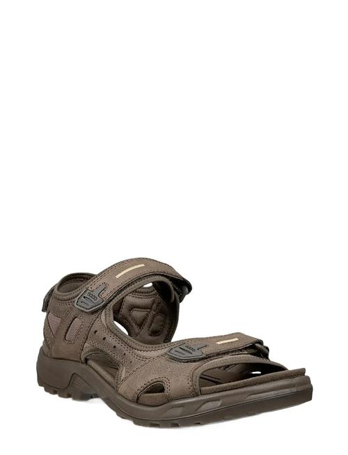 ECCO | Offroad | 49