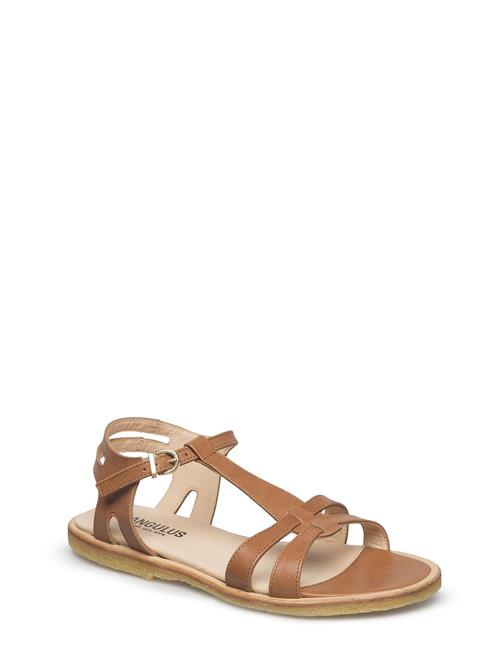 ANGULUS | Sandals - Flat | 38