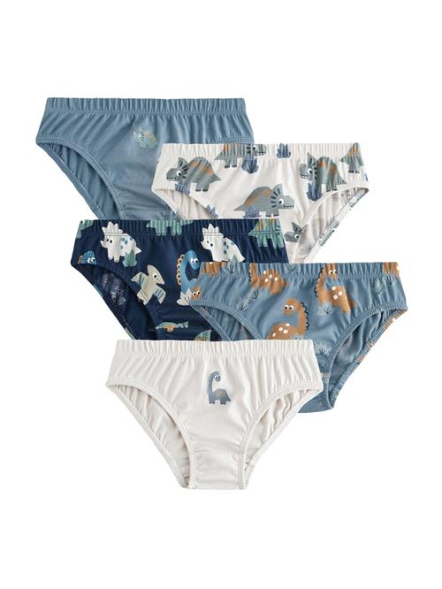 Next Underbukser  navy / røgblå / brun / offwhite