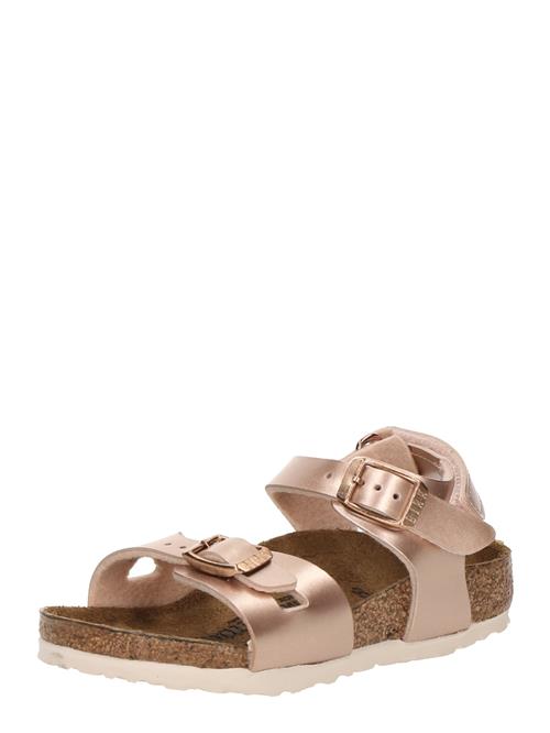 BIRKENSTOCK Åbne sko 'Rio'  kobber