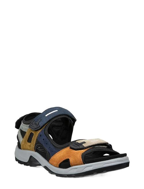 ECCO | Offroad | 46