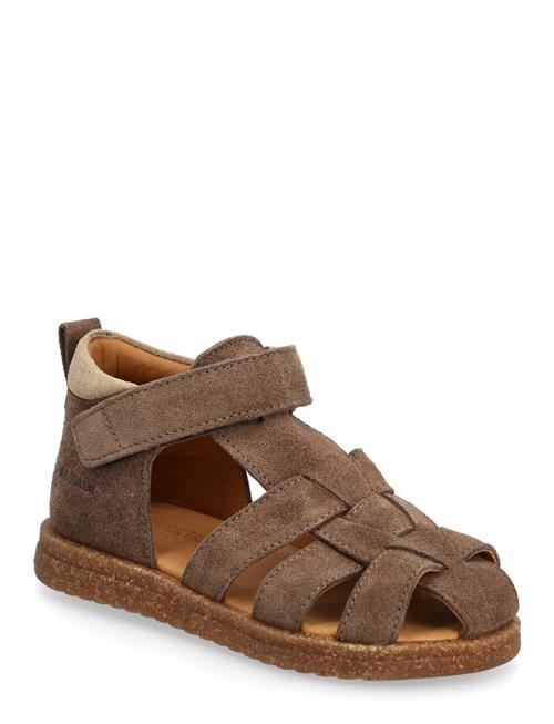 ANGULUS | Sandals - Flat  - Closed Toe | 25