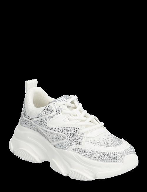 Steve Madden | Jprivy Sneaker | 31