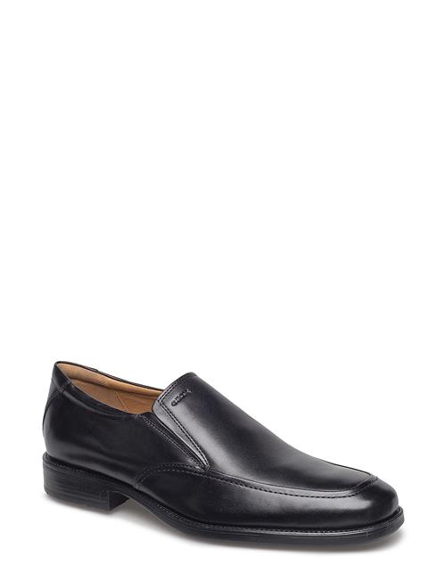 GEOX | U Federico Z | 43