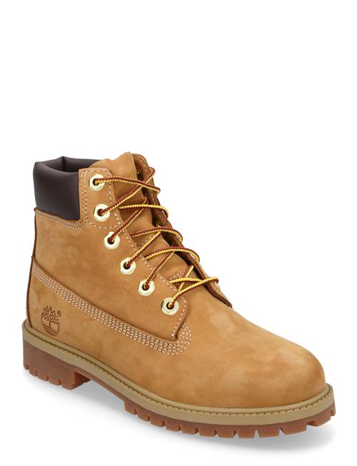 Timberland | 6 Inch Lace Up Waterproof Boot | 36