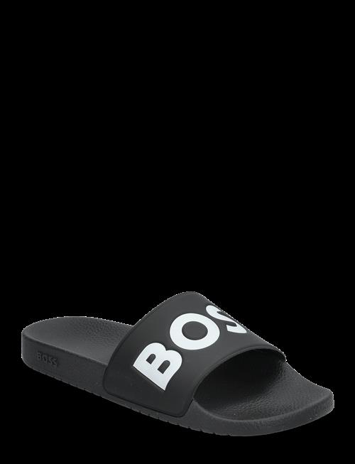 BOSS | Aryeh_Slid_Npvlg | 45