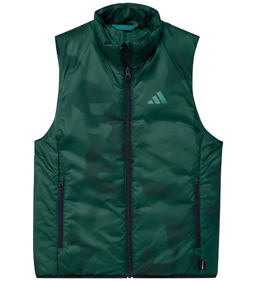 adidas Performance Dynevest - Terrex - Collegiate Green
