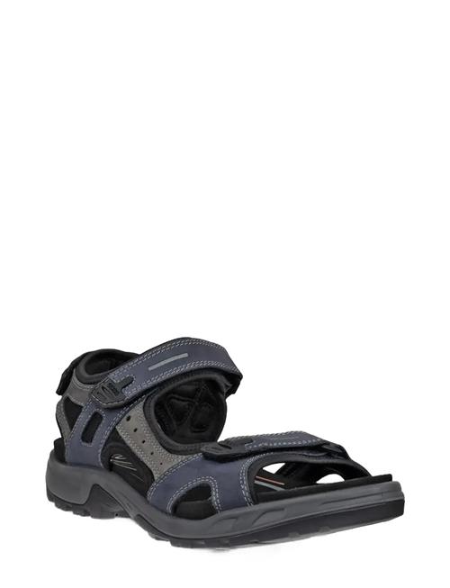ECCO | Offroad | 41