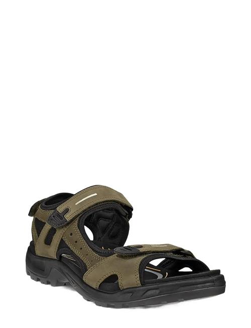 ECCO | Offroad | 45