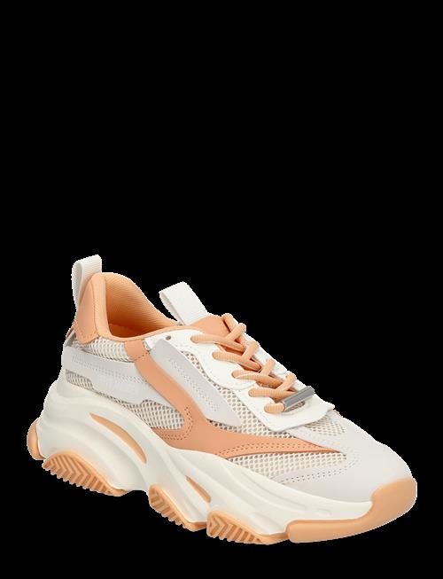 Steve Madden | Possession-E Sneaker | 38