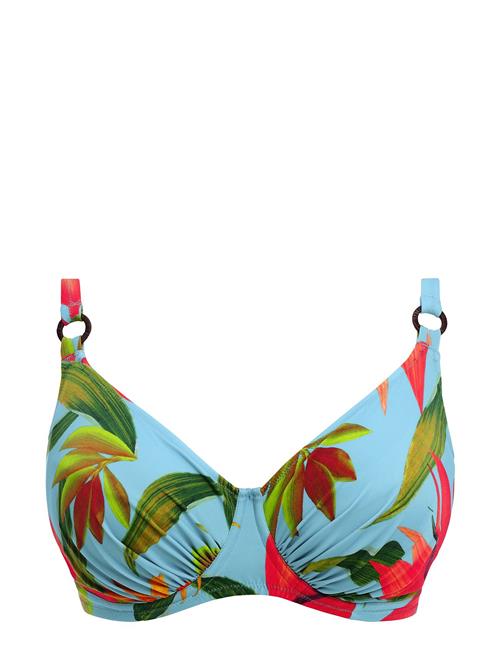 Fantasie | Pichola | D x 90