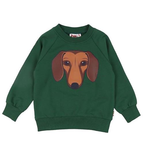 DYR Sweatshirt - DYRBellow - Warm Khaki Gravhund