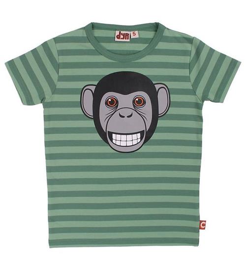 DYR T-shirt - Growl - Saga/Rover Khaki