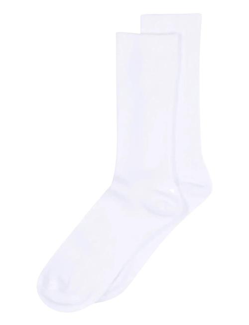 mp Denmark | Fine Cotton Rib Socks | 40/42
