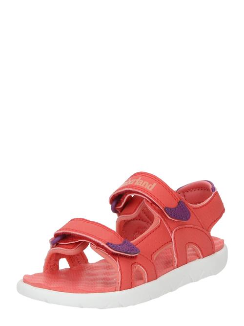 TIMBERLAND Åbne sko 'Perkins'  mørkelilla / melon
