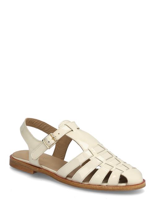ANGULUS | Sandals - Flat  - Closed Toe - Op | 40