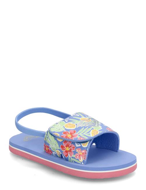 Roxy | Tw Finn | 23