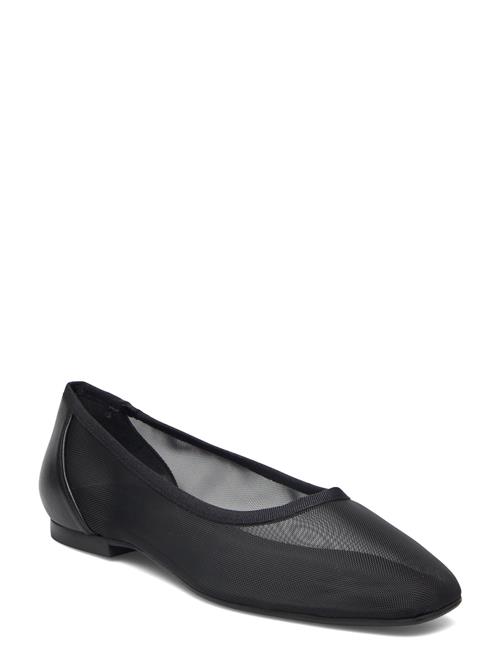 Billi Bi | Ballerina | 36