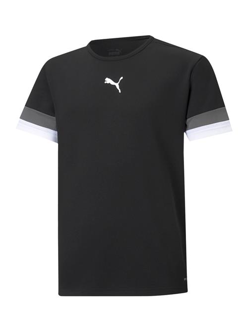 PUMA Funktionsskjorte 'TeamRise'  grå / sort / hvid