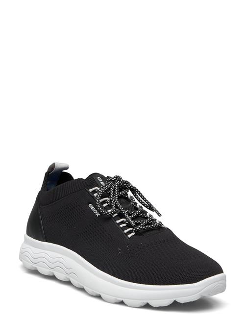 GEOX | U Spherica A | 44