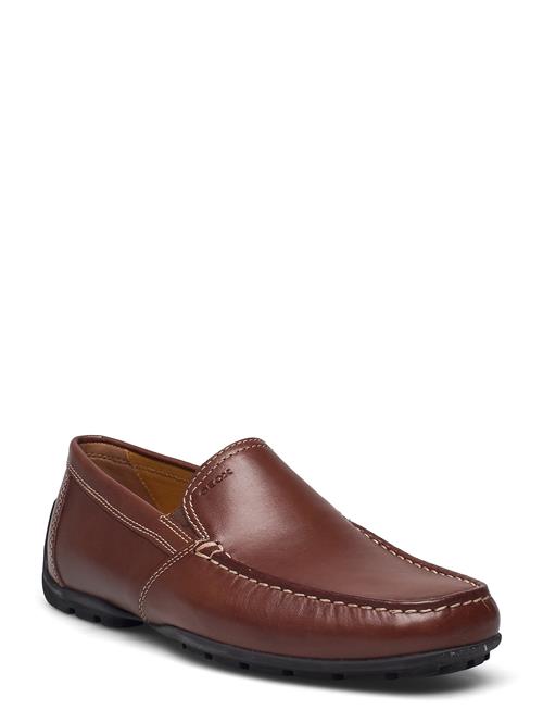 GEOX | U Moner V | 46