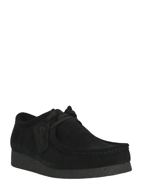 Clarks Originals | Wallabeeevo G | 43