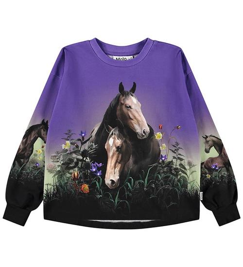 Molo Bluse - Reniza - Mystic Horses