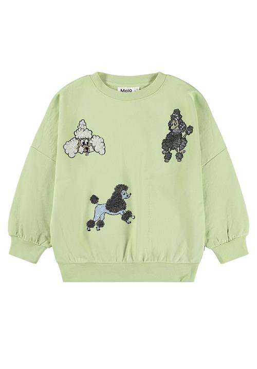 Molo GOTS Marika Sweatshirt Nile Green  Nile Green 92 cm  Grøn  92 cm  Piger