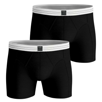 Björn Borg 2P Viscose Cotton Blend Boxers Flerfarvet Small Herre