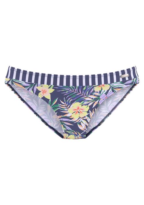 VENICE BEACH Bikinitrusse  gul / grøn / violetblå / pudder