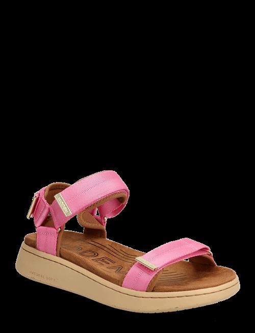 WODEN | Line | 38