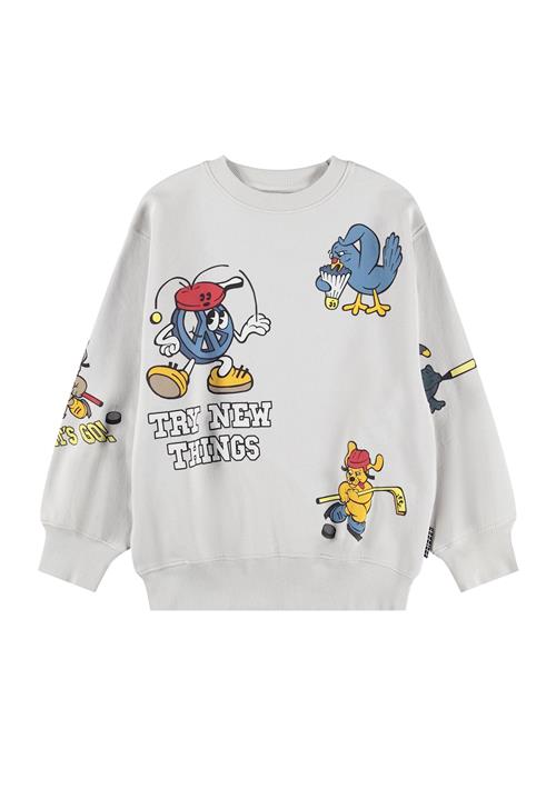 Molo Monti Sweatshirt Curious Mates  Curious Mates 110 cm  Grå  110 cm  Drenge