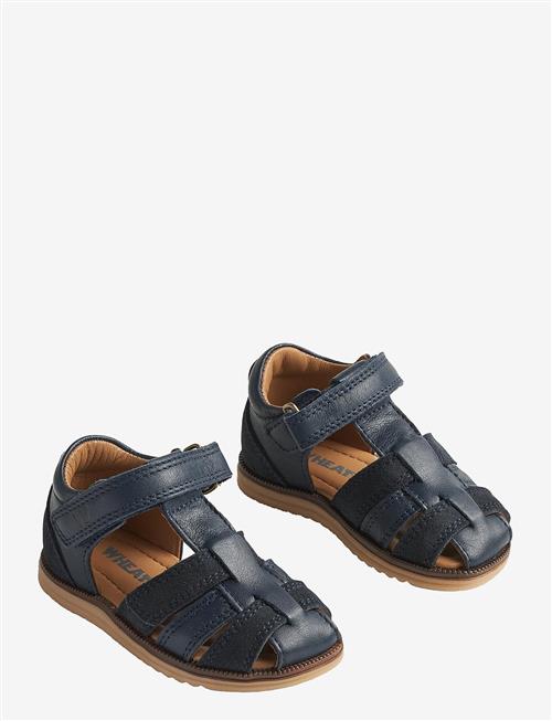 Wheat | Sandal Sky | 22