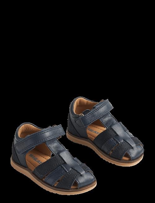 Wheat | Sandal Sky | 25