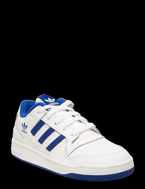 adidas Originals | Forum Low Cl C | 33