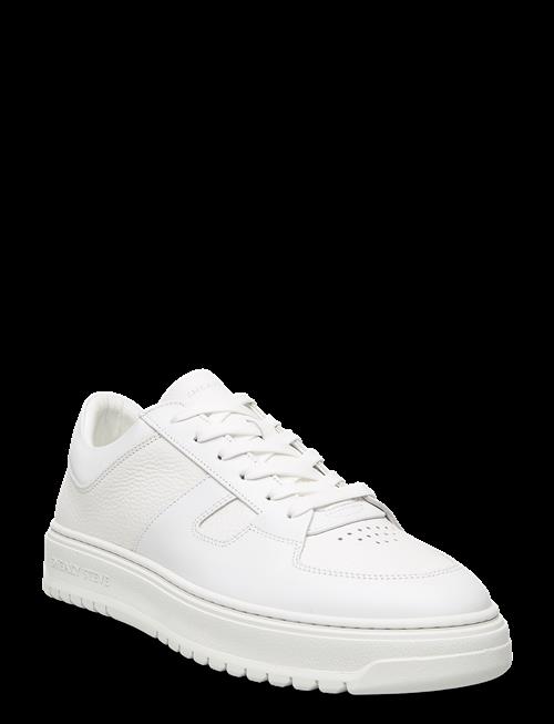 Sneaky Steve | Faraway Low U Total | 46