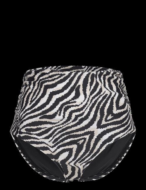 Panos Emporio | Zebra Chara Bottom | 42