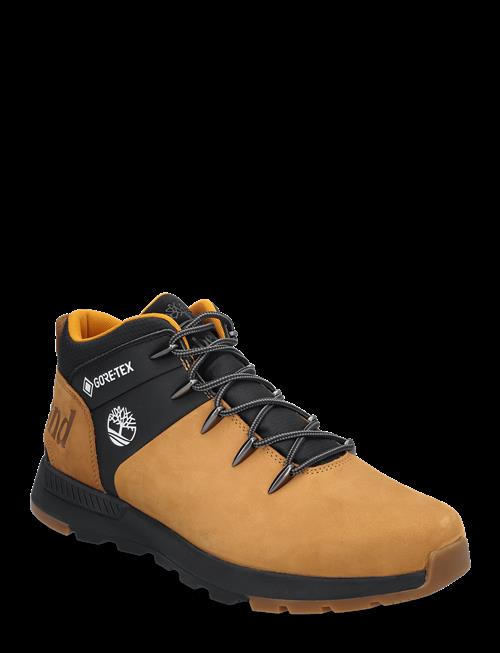 Timberland | Mid Lace Up Waterproof Sneaker | 45
