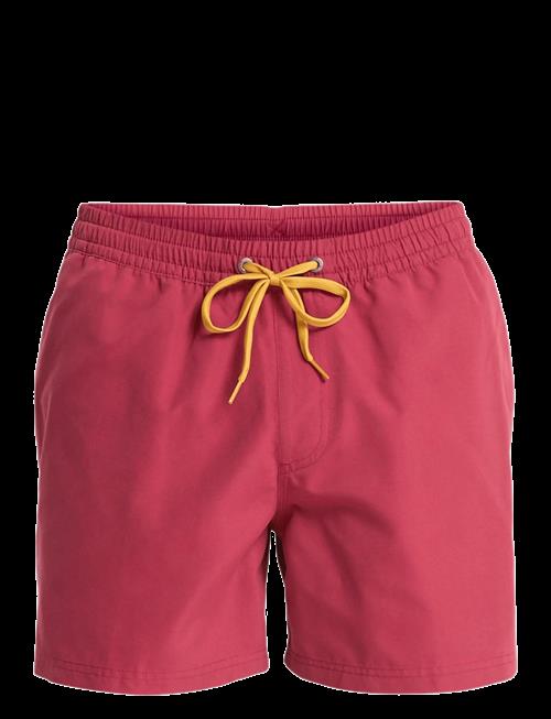 Quiksilver | Everyday Volley 15 | XXL