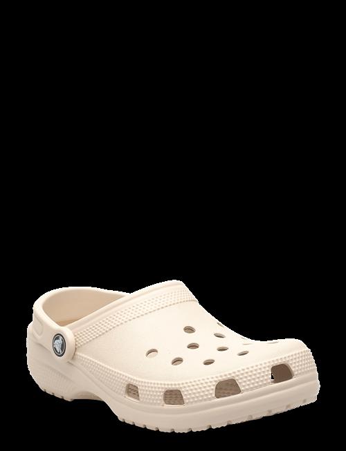 Crocs | Classic | 42/43