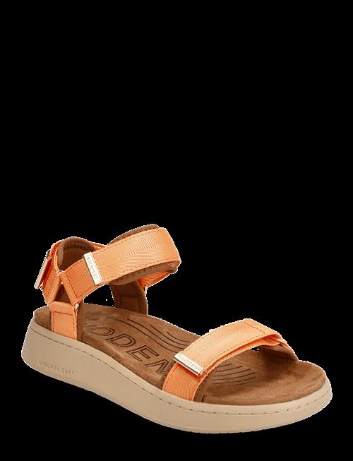 WODEN | Line | 40