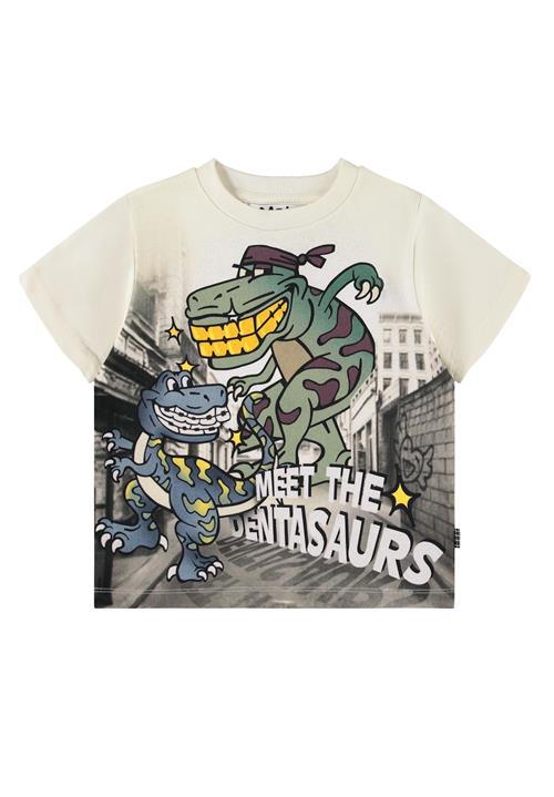 Molo Rodney T-Shirts Short Sleeves Roar Explore Roar Explore 152 cm  Hvid  152 cm  Drenge
