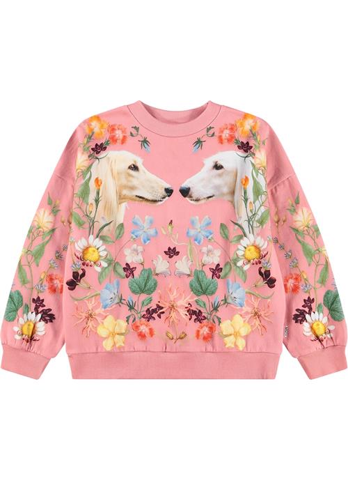 Molo Maxi Sweatshirt Afghan Hounds  Afghan Hounds 110 cm  Lyserød  110 cm  Piger