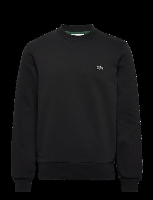Lacoste | 1Hs1 Men's Sweatshirt | XL