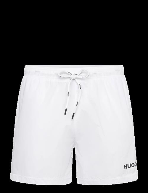 HUGO | Haiti | M