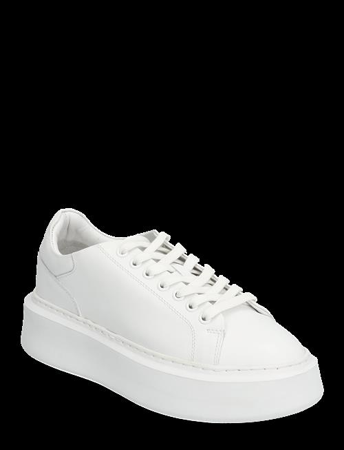 Billi Bi | Sport | 40