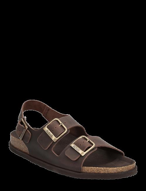 Scholl | Sl Gaston Leather Dk Brown | 40