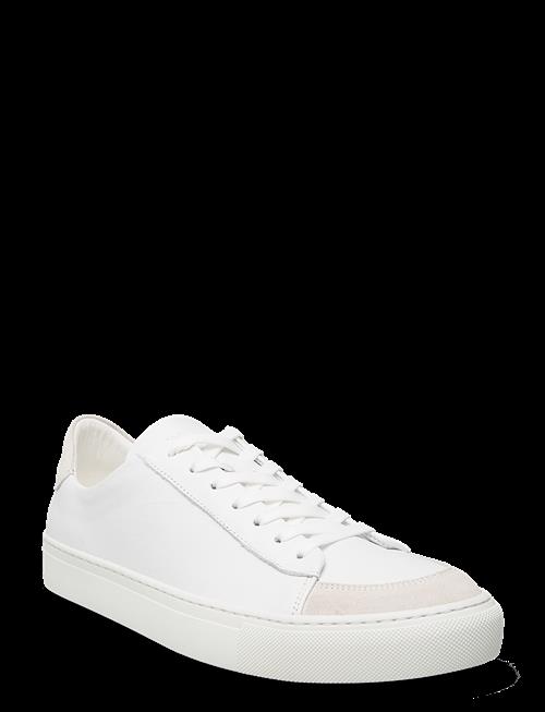 Sneaky Steve | Nagore U White | 41